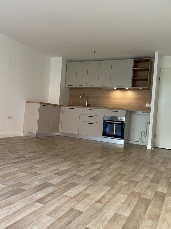 RENOVATION APPARTEMENT - CUISINE 